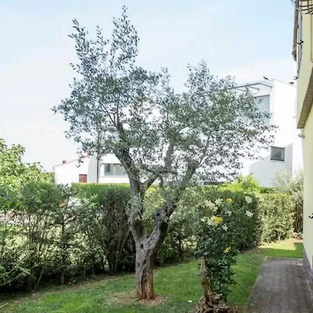 Zonta Guest house