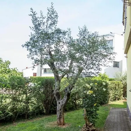 Zonta Rovinj